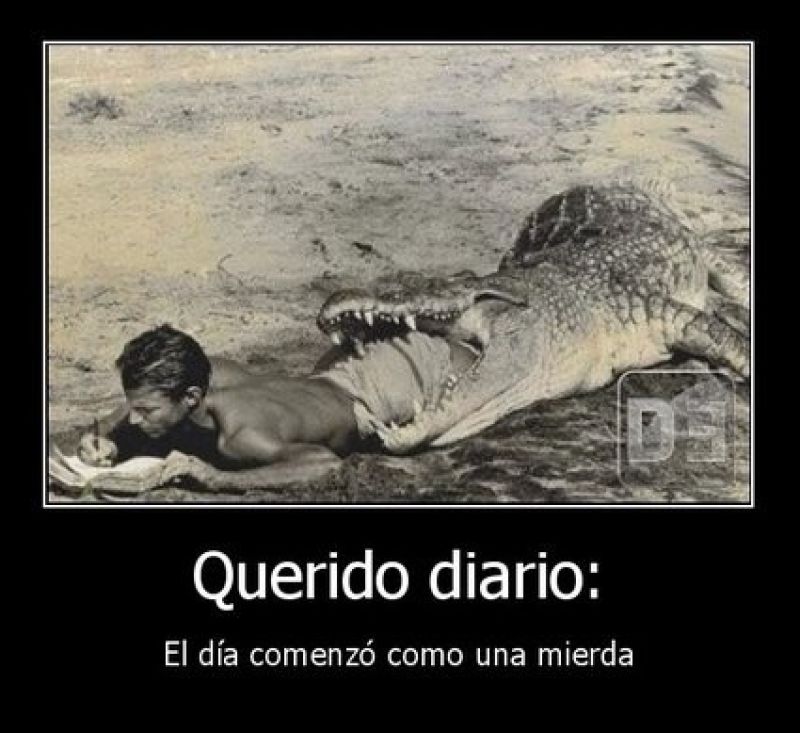 querido diario.jpg